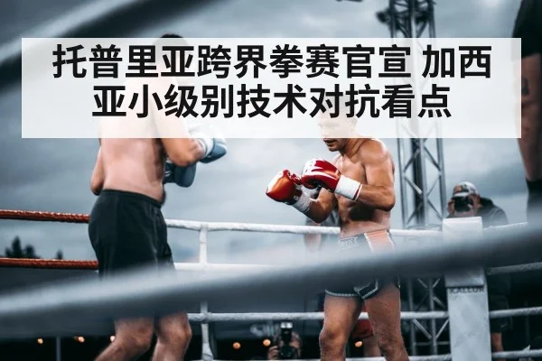 lightweight boxer technical fight